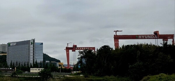 영업이익률 19% 비밀을 품은 'HD현대삼호' [출처=진명갑 기자]