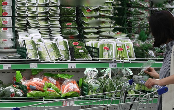 [출처=연합뉴스]