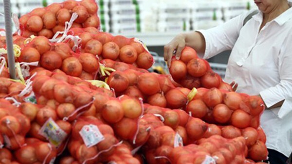 정부가 햇양파 수출을 통해 국내 공급 과잉 문제 해소에 나선다. [출처=연합뉴스]