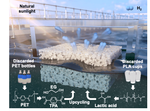 [출처=IBS 나노입자 연구단]