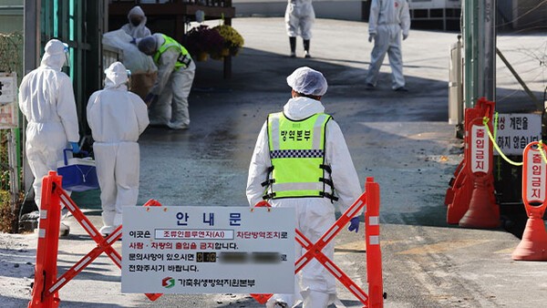 [출처=연합뉴스]