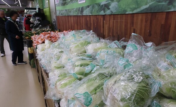 본격적인 여름철을 앞두고 배추 수급 불안 조짐이 일고 있다. 한국농촌경제연구원(농경연)은 올해 여름배추 생산량이 평년 대비 24.5% 감소할 것으로 예측하면서 ‘금배추’ 악몽이 재현되는 것 아니냐는 우려가 커지고 있다. [출처=연합뉴스]