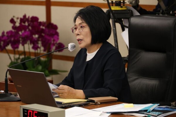 최민희 더불어민주당 의원 [출처= 연합]