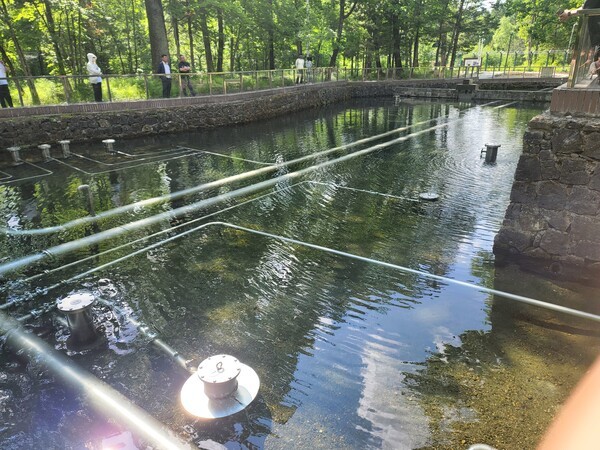 백산수 수원지 내두천 [출처=신승훈 기자]