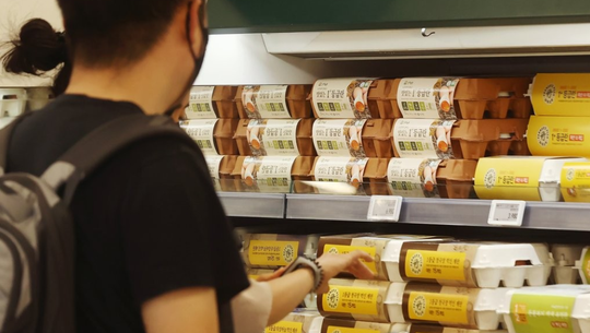 ▶ 서울의 한 대형마트 내 계란 진열대.[출처=연합]