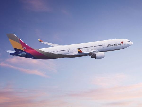 아시아나항공 A330 항공기[출처=아시아나항공]