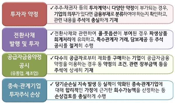 2025년 재무제표에 대한 중점심사 회계이슈. [출처=금융감독원]