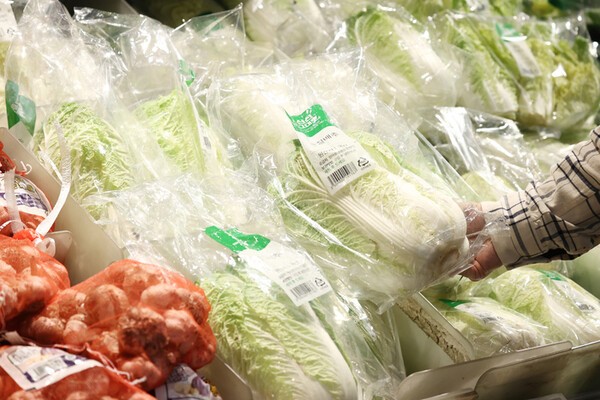 [출처=연합뉴스]