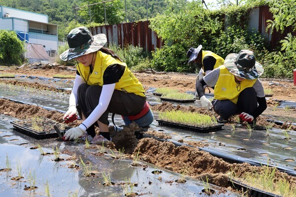 오뚜기는 ‘한국농업 상생발전 프로젝트’의 일환으로 경북 구미시 소재 대파 농가를 방문해 농번기 봉사활동을 실시하고, 국산 대파 종자 5종의 시험재배를 본격 추진한다. [출처=오뚜기]