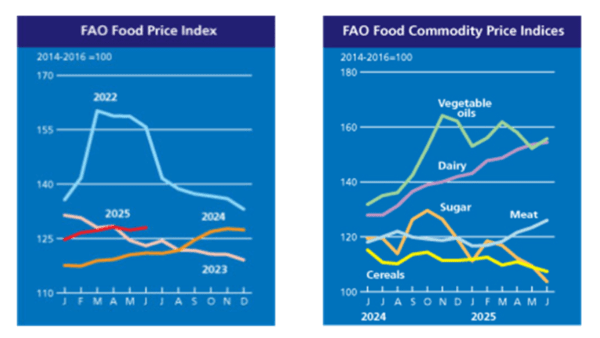연도별 식량가격지수 및 품목별 가격지수 그래프. [출처=FAO]