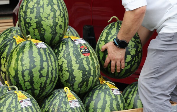 서울 송파구 가락동농수산물도매시장에서 시민들이 수박을 구입하고 있다. [출처=연합뉴스]