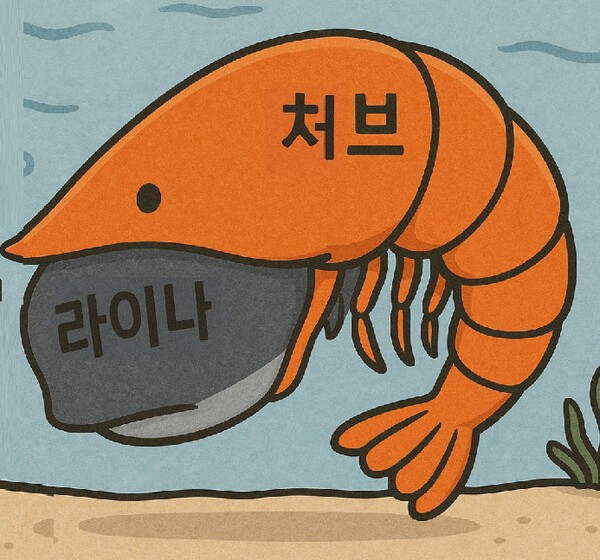 처브는 지난 2022년 미국 시그나그룹 한국법인 라이나생명을 전격 인수하며 한국 시장 확대에 대한 의지를 표명했다. 한국 법인만 사들인 게 아니다. 처브그룹은 시그나 그룹으로부터 라이나생명을 포함한 7개 국가의 보험 사업부 등 대형 패키지 딜(약 6조8649억원)을 맺었다.   챗GPT 생성 이미지.[출처=오픈AI]