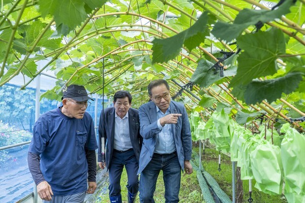 NH농협금융은 18일, 경기도 남부 소재 농가를 방문해 이찬우 회장(오른쪽에서 첫 번째)과 안산농협 박경식 조합장(오른쪽에서 두 번째)이 함께 애로사항을 청취하고 있다. [출처=NH농협금융]