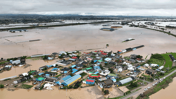 7월 중순 집중호우로 전국 농작물 침수 면적이 총 3만ha에 달한 것으로 조사됐다. [출처=연합뉴스]