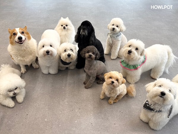 [출처=대교그룹]