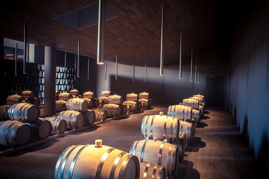 안티노리 셀러내부. [출처=안티노리 와이너리]