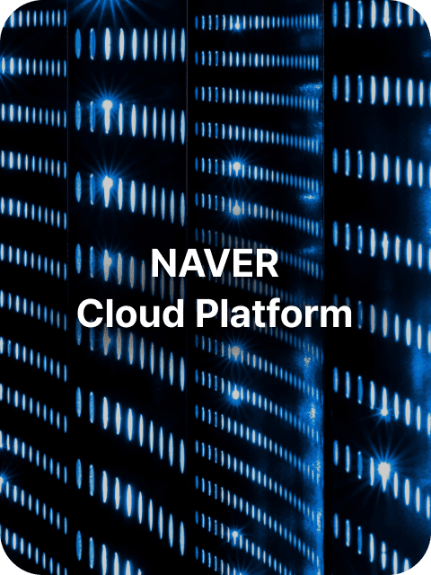 네이버 클라우드 플랫폼 이미지. [출처=네이버클라우드]