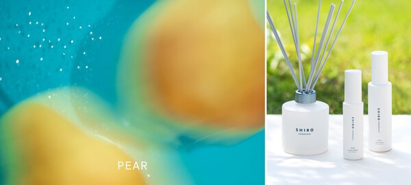 싱그러운 서양배 향을 담은 여름 한정 프래그런스 라인 ‘페어(PEAR)’. [출처=시로]