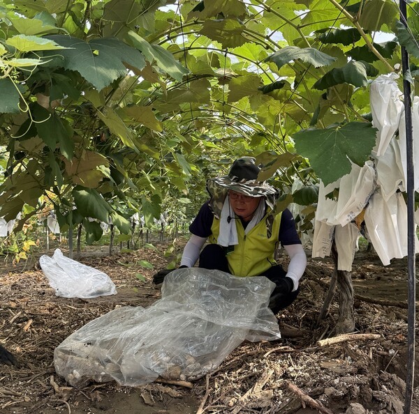 [출처=농협손보 ]