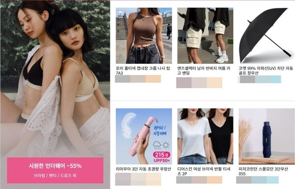 고용노동부ㆍ국토교통부ㆍ공정거래위원회가 쿠팡로지스틱스서비스(유), 롯데글로벌로지스㈜, ㈜한진, 로젠㈜ 등 택배업체를 대상으로 합동 점검에 나선다. 이미지는 쿠팡 홈페이지 갈무리.[출처=ebn]