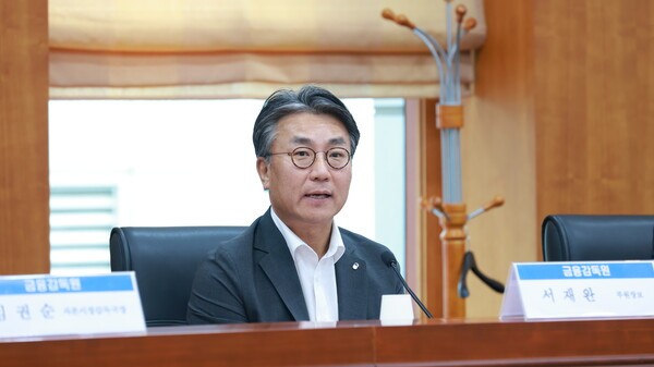 서재완 금감원 부원장보. [출처=금융감독원]