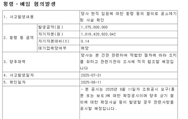 [출처=금융감독원 전자공시시스템]