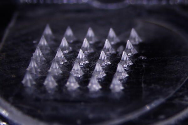 [출처=대웅제약]