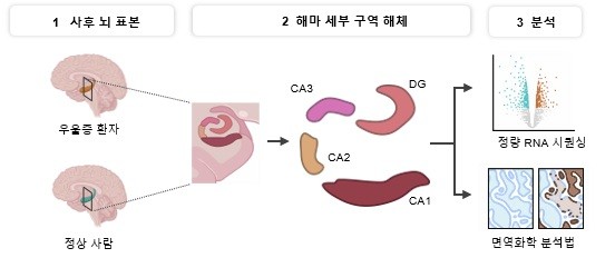 [출처=한국과학기술원]