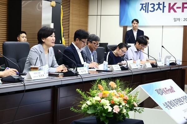 송미령 농식품부 장관이 'K푸드 수출확대 추진본부 간담회'에서 발언하고 있다. [출처=농식품부]
