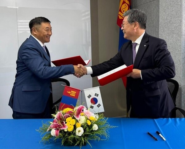 [출처=보험개발원 ]