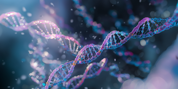 [출처=픽사베이]