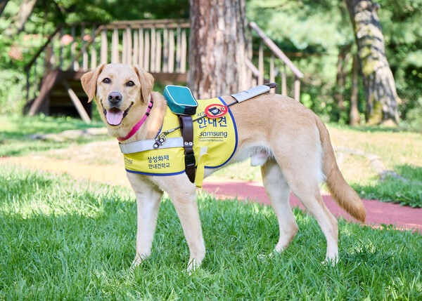 [출처=삼성화재 ]