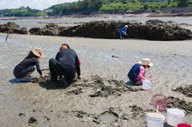 “모두 함께 잘 사는 나라”를 지향하는 새 정부의 “5극 3특” 정책 기조에 발맞춰 생태관광 활성화를 통한 지역의 특색이 있는 발전 방안을 모색하기 위한 것이다. 출처=부안군 문화관광]
