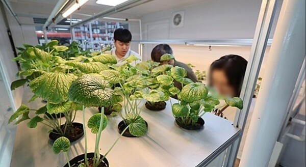 농업박람회의 스마트팜 모습. [출처=연합뉴스]