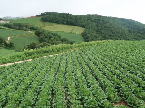 [출처=한국농촌경제연구원]