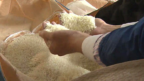 정부가 햅쌀 출하 시기를 맞아 부정유통 행위 특별 점검에 나선다. [출처=연합뉴스]