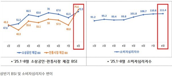 [출처=행정안전부]