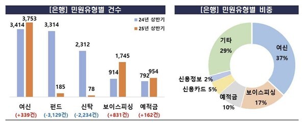 [출처=금융감독원]