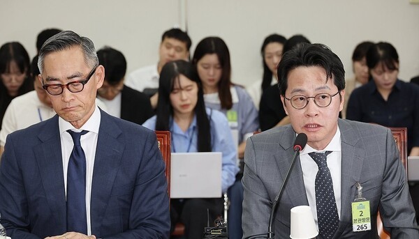 23일 서울 여의도 국회에서 열린 롯데카드 개인정보 유출사태 관련 피해자 보호 방안 및 재발 방지 대책 간담회에서 조좌진 롯데카드 대표이사가 발언하고 있다. [출처=연합]