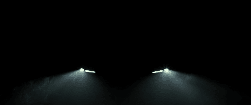 영상 이미지 [출처=테슬라 X]