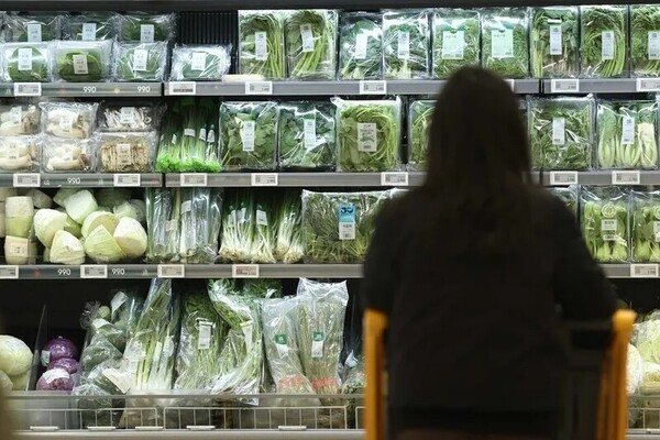 5년간 먹거리 물가가 20% 넘게 상승한 것으로 분석됐다. [출처=연합뉴스]