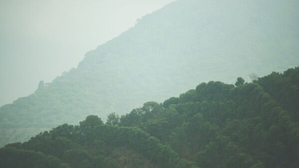 블루보틀 커피가 지난해 회계연도에서 탄소중립을 실현하며, 커피 산업의 친환경 전환에 속도를 내고 있다. [출처=블루보틀 커피]