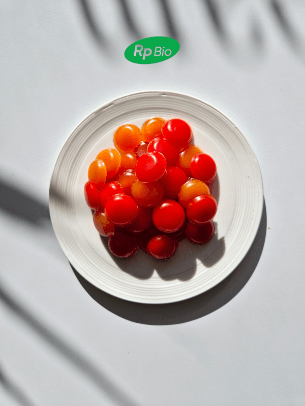 [출처=알피바이오]