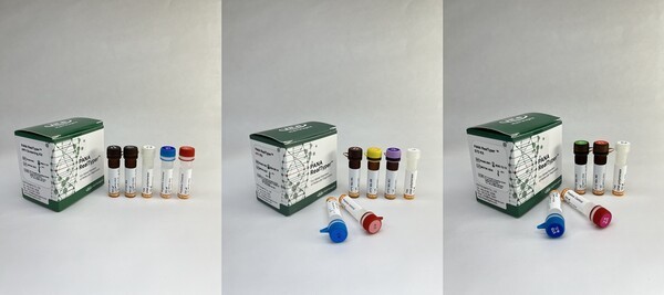 [출처=HLB파나진]