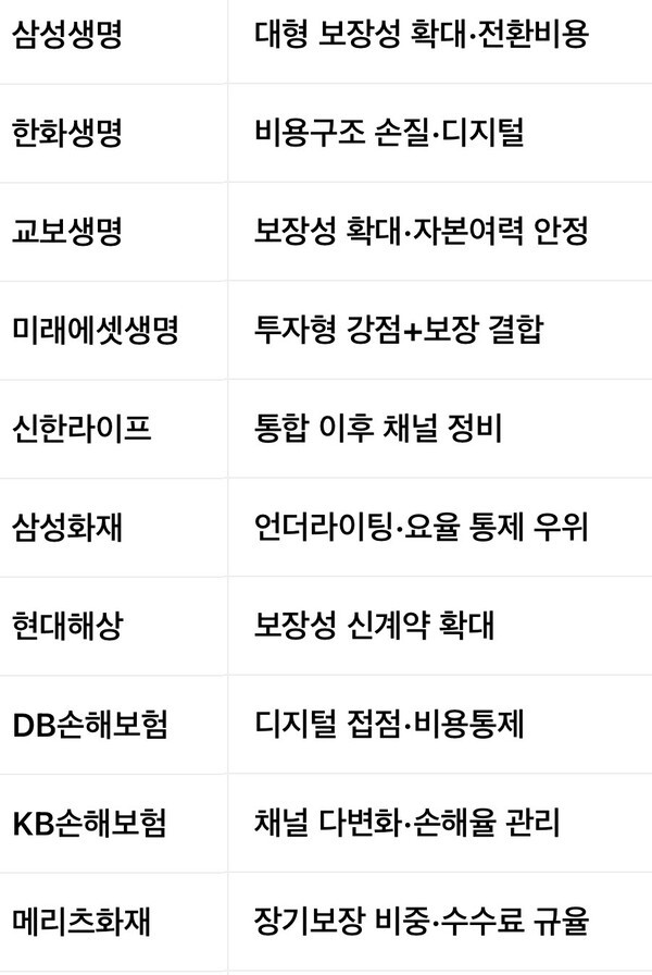 보험사 경영 체크 포인트 [표 제작: 챗GPT 생성 이미지]