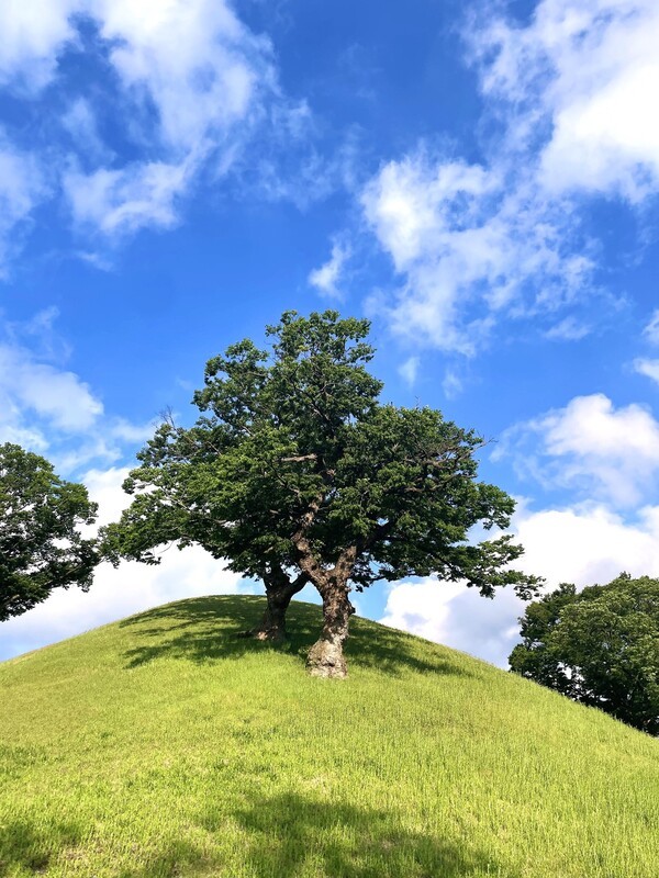 '제 2회 HS효성 2026 사진 공모전' 당선작. [출처=HS효성]