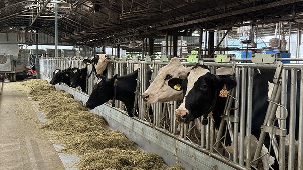 [출처=우유자조금]