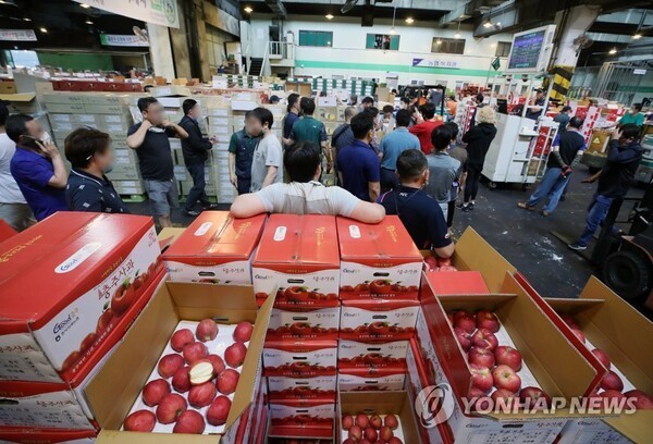 서울 송파구 가락동농수산물도매시장 경매장 [출처=연합뉴스]