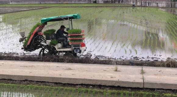 농림축산식품부가 2025년 기본형 공익직접지불금(공익직불금) 지급 계획을 확정하고 총 2조3843억원 규모의 직불금을 128만5000 농가·농업인에게 지급한다. [출처=연합]