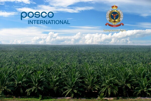 포스코인터내셔널이 인수한 인도네시아 삼푸르나 아그로 팜 농장 전경. [출처=포스코인터]